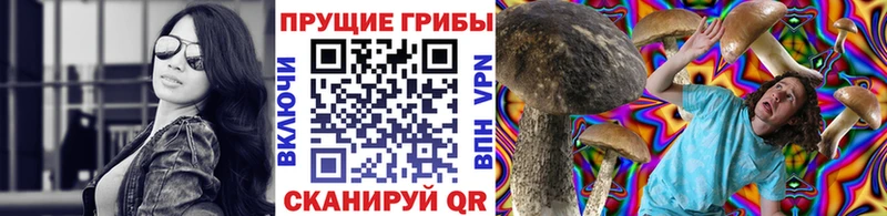 Галлюциногенные грибы Psilocybine cubensis Купить Обнинск